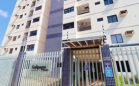 PALMAS EXPERIENCE - Apartamento Girassol